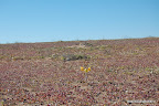 Ruta Costera Desierto Atacama
