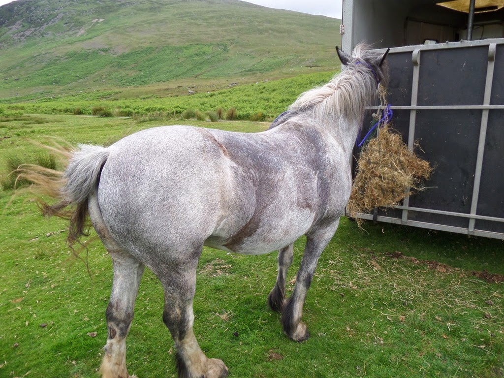 [SAM_0143%255B3%255D.jpg]