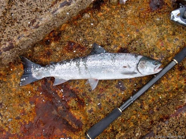 [Cornwall%2520Fishing%25202012_5%255B3%255D.jpg]