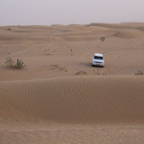 IMG_5255.JPG