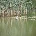 DSC02160.JPG
