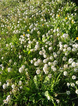 DSCN8098 DSCN8098