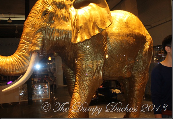 IMG_1388 IMG_1388