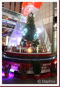 IMG_1586 IMG_1586