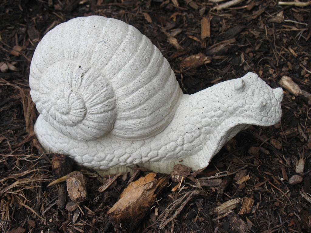 [snail%255B3%255D.jpg]