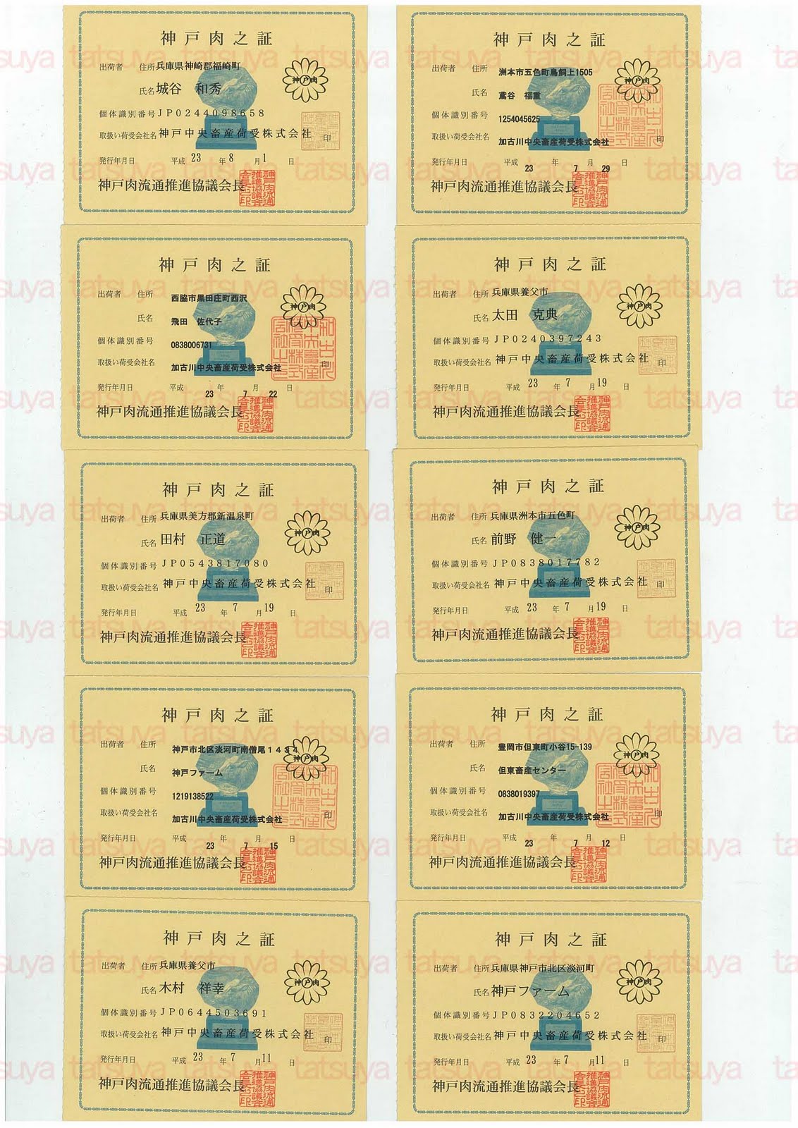 [LOT-11081101-%25231.jpg]