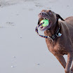 _MG_7010.jpg