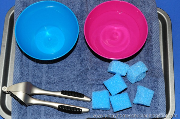 Garlic Press, Sponge and Water