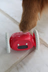 He-he!  I'll just push a few buttons and my problems will be solved!