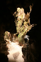 IMG_8556.JPG Photo
