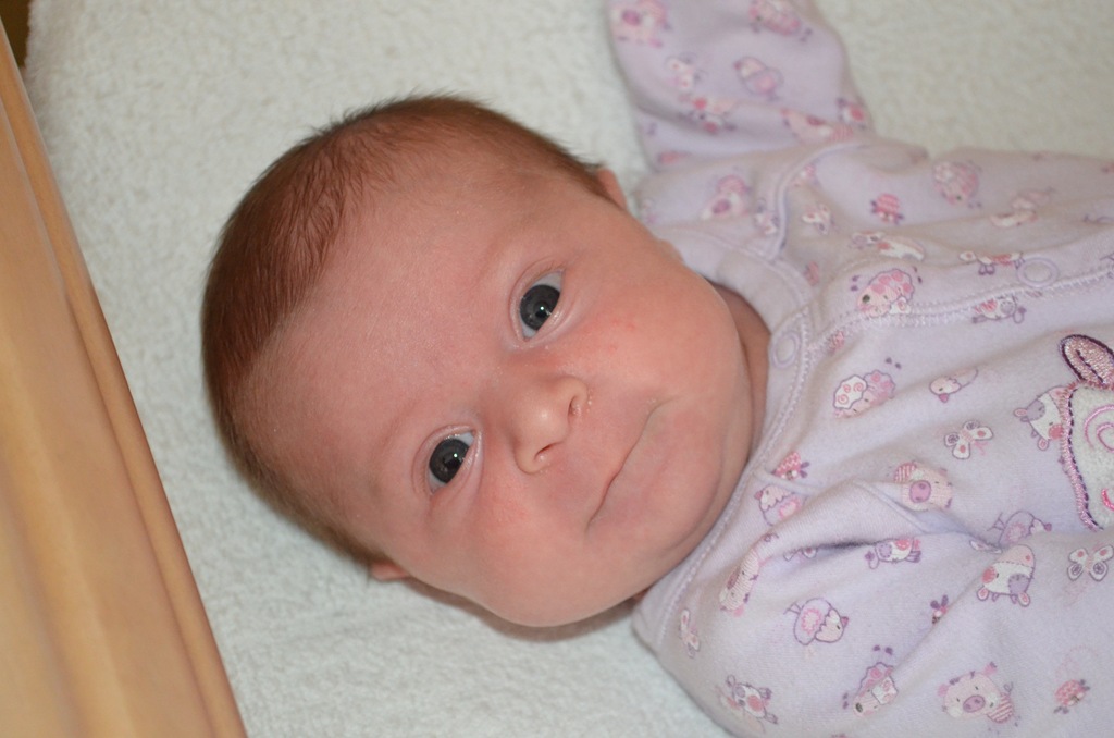 [DSC_3898%255B4%255D.jpg]