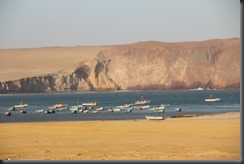 IMG_4741 IMG_4741