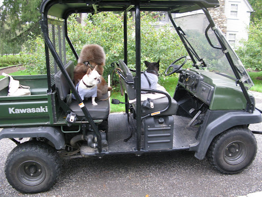 Has he forgotten his promise to take us for a ride?