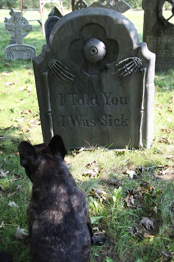 This one seems a bit snarkey, don't you think?  But, it's actually kind of funny.  However, something tells me that we're not supposed to be laughing at tombstones.
