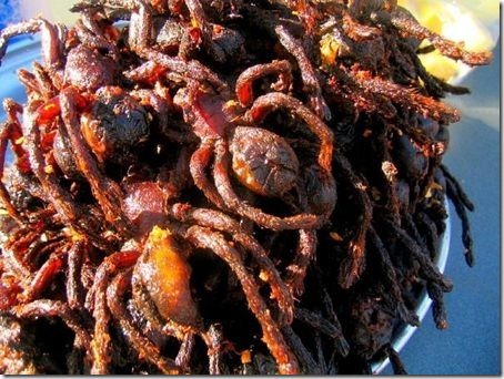 [aranhas%2520fritas%2520cambodja%255B4%255D.jpg]