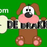 Brakken groep 1-2 A