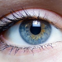 10 curiosidades interessantes que provavelmente você não sabia 10 curiosidades interessantes que provavelmente você não sabia
