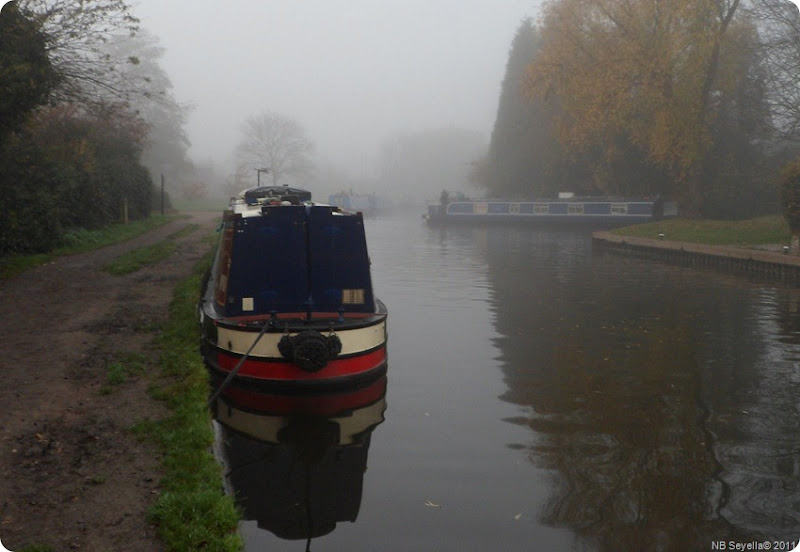 SAM_0001 Misty Willington