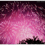 Massive Purple Chrysanthemums Filling the Sky Above a Tree - http://www.epicfireworks.com/