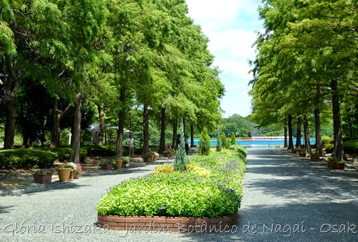 1 - Glória Ishizaka - Jardim Botânico Nagai - Osaka