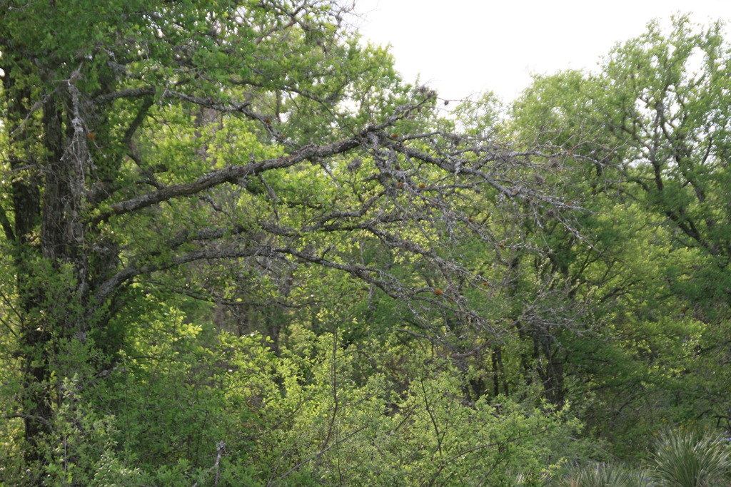 [IMG_7007%255B4%255D.jpg]