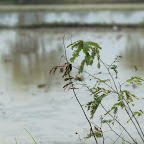 IMG_8824.JPG