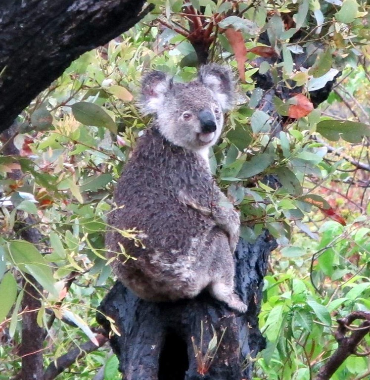 [IMG_4419-1%255B3%255D.jpg]