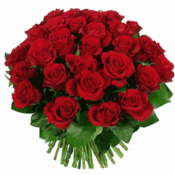 ramo-24-rosas-rojas