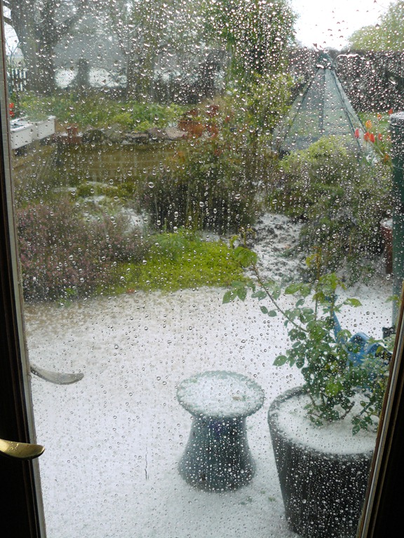 [sleet1%255B3%255D.jpg]