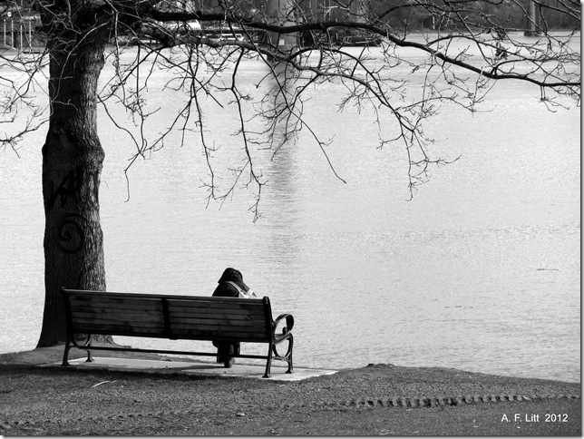 Portland, Oregon.  February 27, 2012.  Photo of the Day, May 7, 2012.