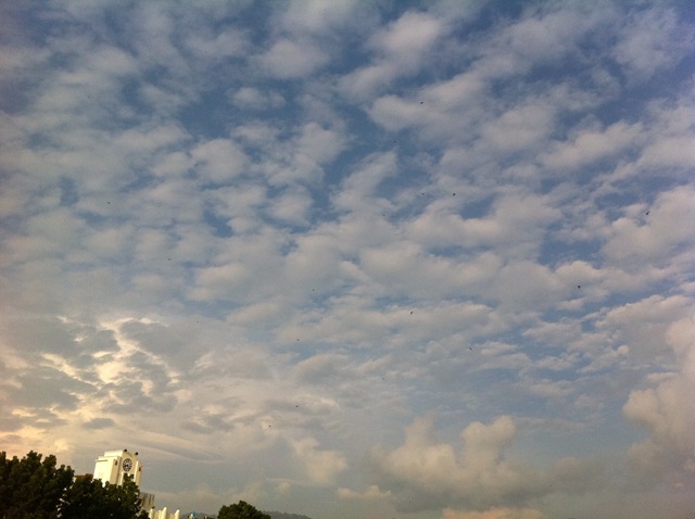 [IMG_6111%255B6%255D.jpg]