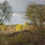 MVC-002F.JPG