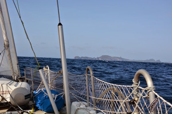 DSC_4018.JPG DSC 4018