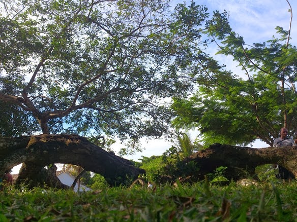 DSC_0575 DSC_0575