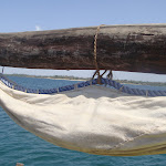 Wasini Island