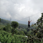 Flying Fox