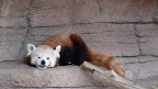 denver_zoo