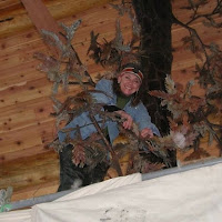Walz Pine Placing the branches.jpg