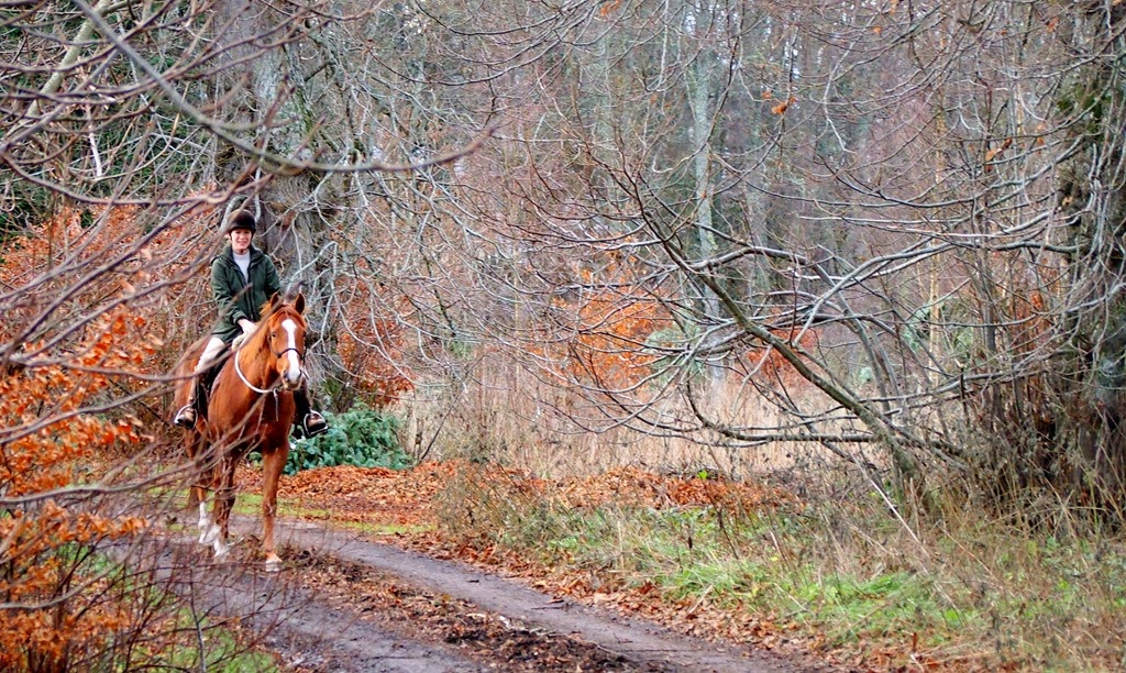 [10%2520Dec%25202%255B3%255D.jpg]