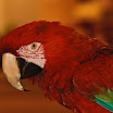 IMG_3953.JPG.jpg
