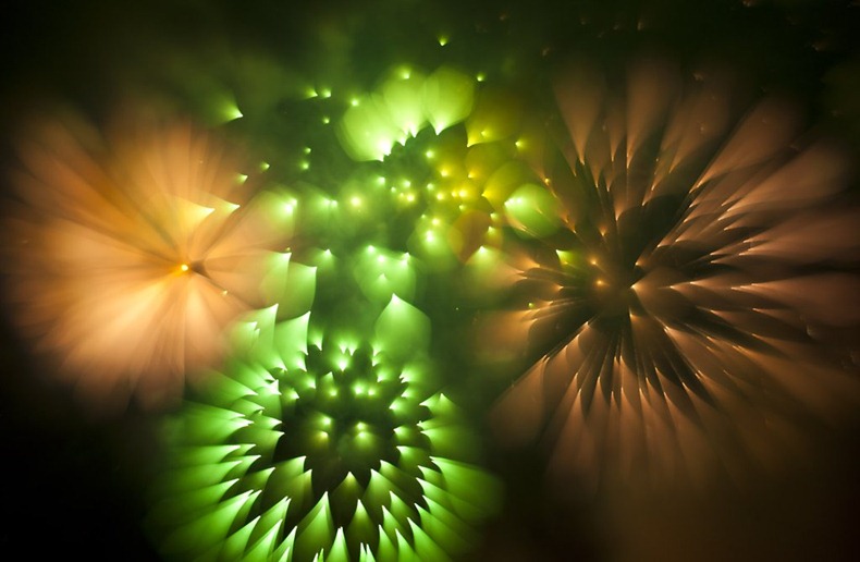 david-johnson-fireworks-8