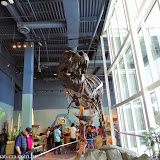 T. Rex, Science World,  Vancouver, BC, Canadá