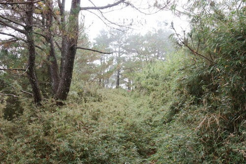 QuahLbL4nJ50VmWay3jpvw QuahLbL4nJ50VmWay3jpvw