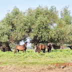 DSCN2511.JPG