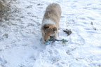 _DSC0034.JPG