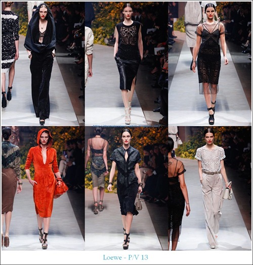 pv13-Loewe pv13-Loewe