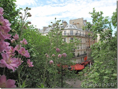 IMG_5543 IMG_5543