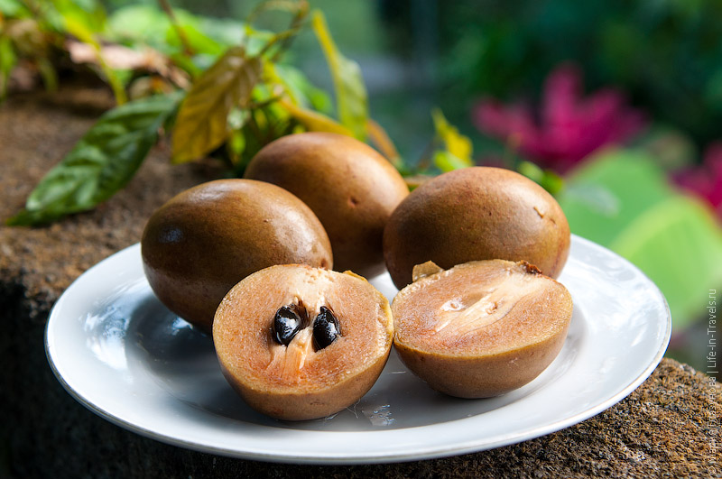 Саподилла (Sapodilla) он же Саво, он же Чику, он же Ахра Саподилла (Sapodilla) он же Саво, он же Чику, он же Ахра
