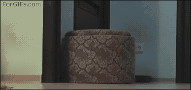 [Quase_Humanos%255B5%255D.gif]