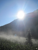 IMG_1835.JPG Photo
